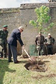 canada 1994 (5)