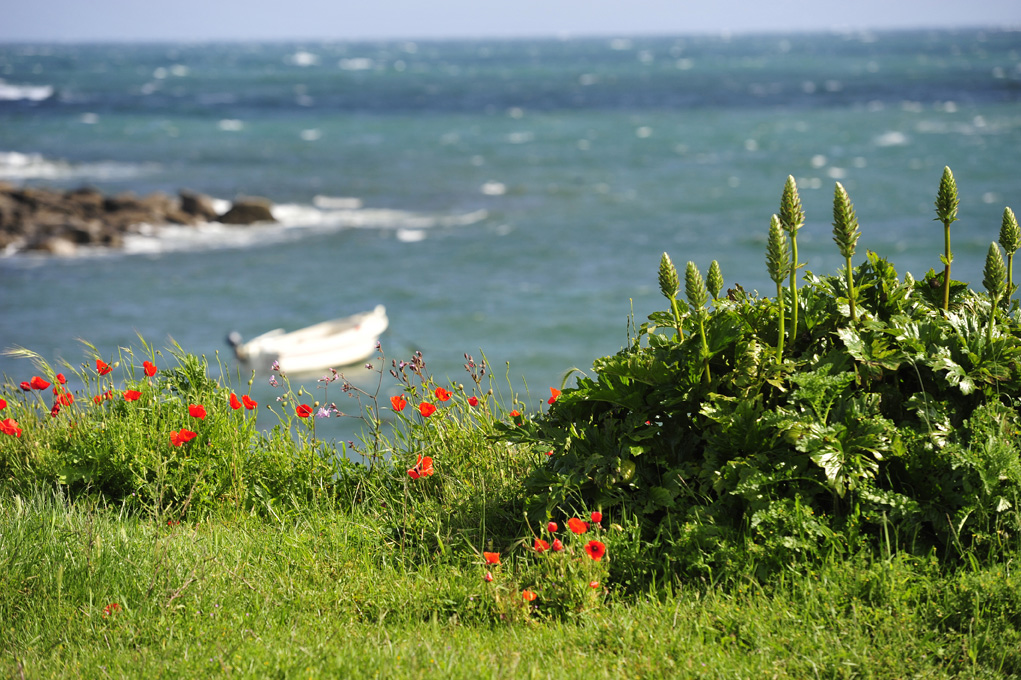 ile de batz-bretagne-18