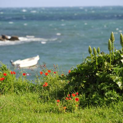 ile de batz-bretagne-18