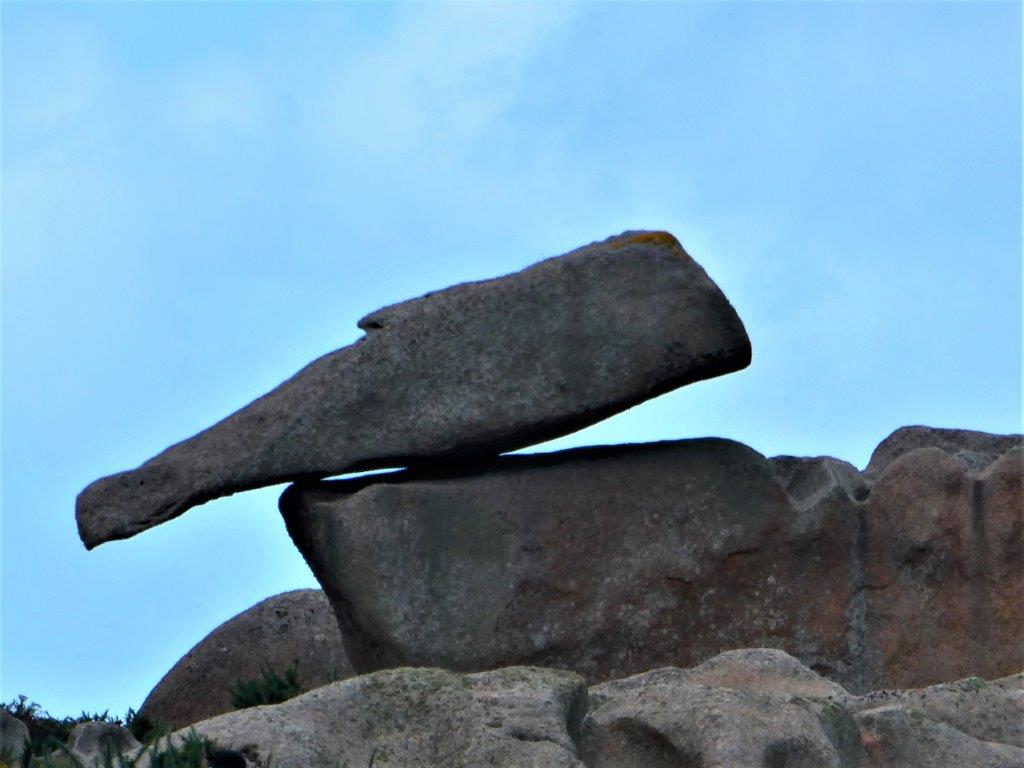 P1050271